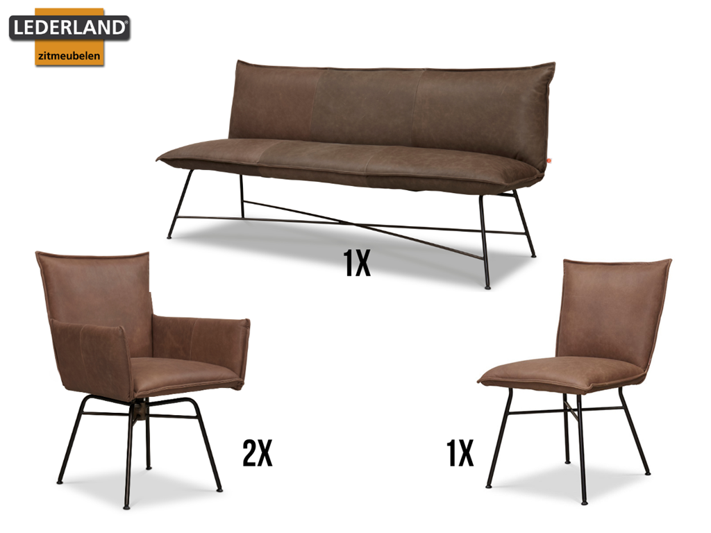 Set van 3 stoelen en eetkamerzetel | Sanne en Vidar